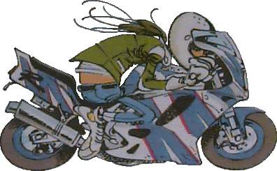 Jean Raoul Ducable en limande sur sa 750 GSX-R 