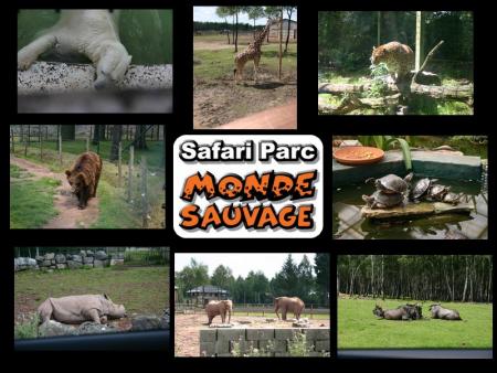 Le monde Sauvage